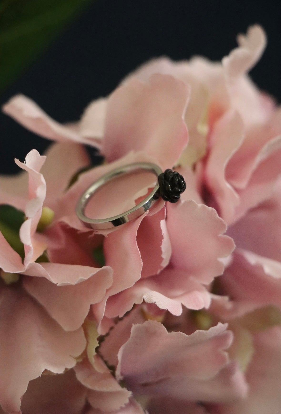 Black Rose